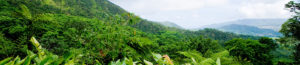 visite la martinique, location voiture martinique, voiture vacances martinique