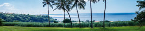 vacances martinique location véhicule martinque voiture location martinique louer véhicule martinique - car rental martinique - car rental martinique - location voiture sur mesure martinique - location voiture haut de gamme martinique